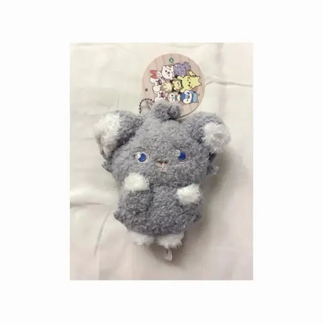Bunjang Product Image 1