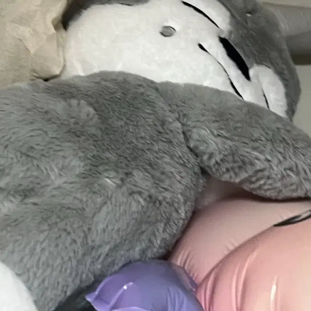 Bunjang Product Image 1