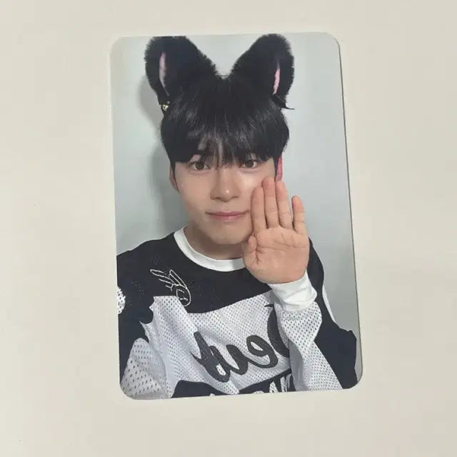 Bunjang Product Image 1